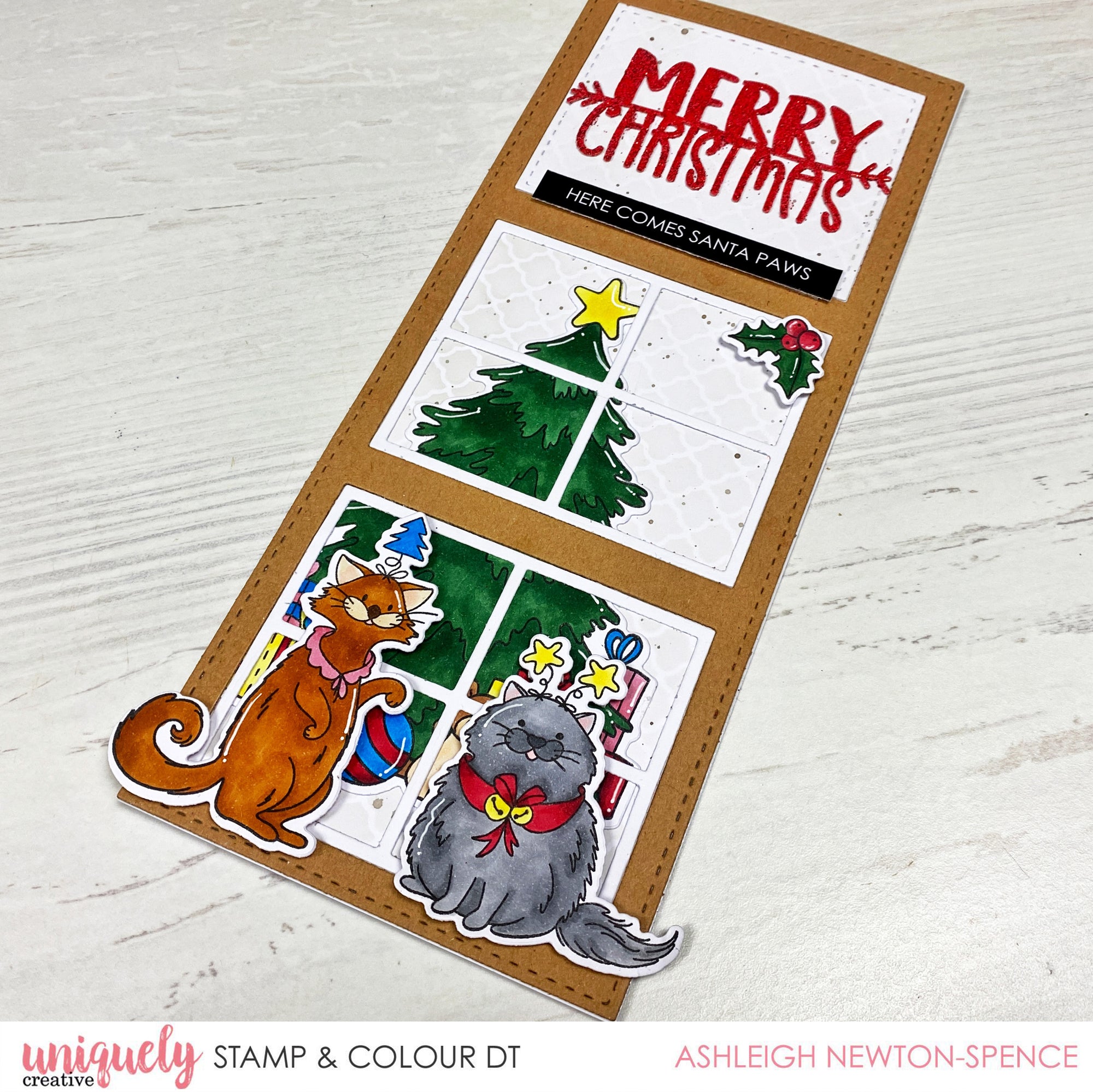 Slimline Window Card Tutorial - Ashleigh Newton-Spence