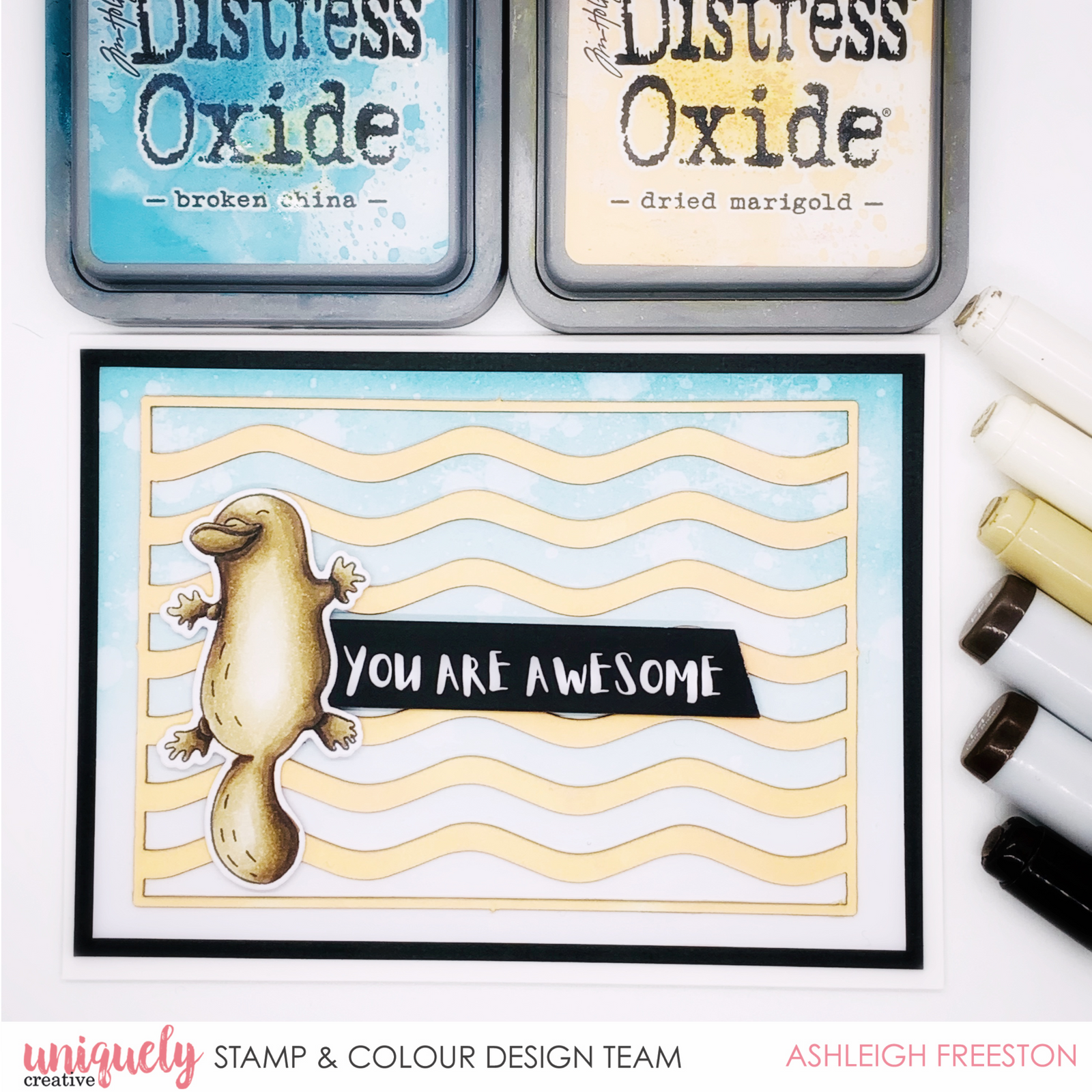 You Are Awesome - Ashleigh Freeston