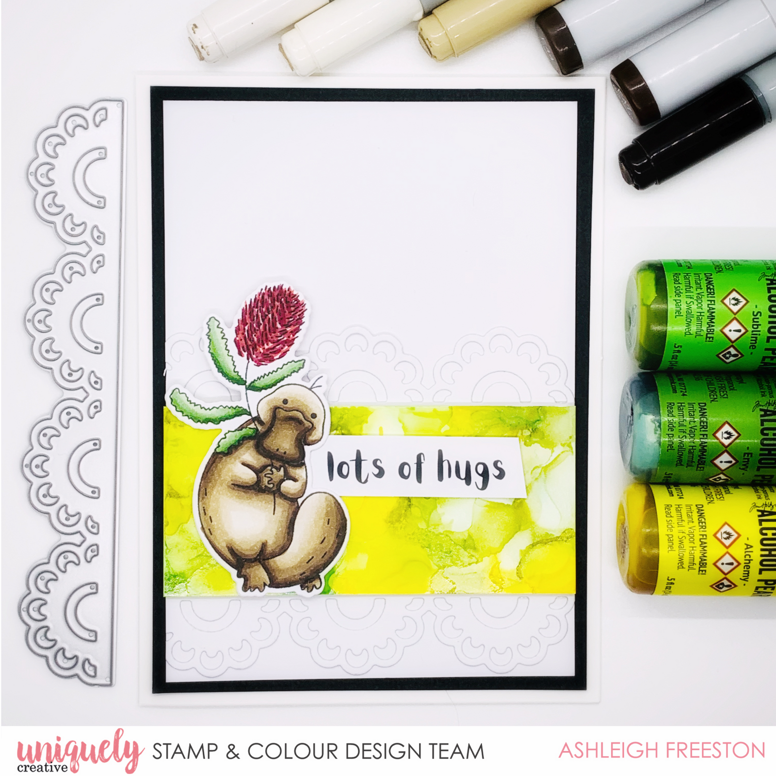 Platypus Hugs - Ashleigh Freeston