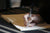 Journaling Ideas For Your Scrapbooking Layout
