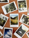 Tips For Organising Your Photos