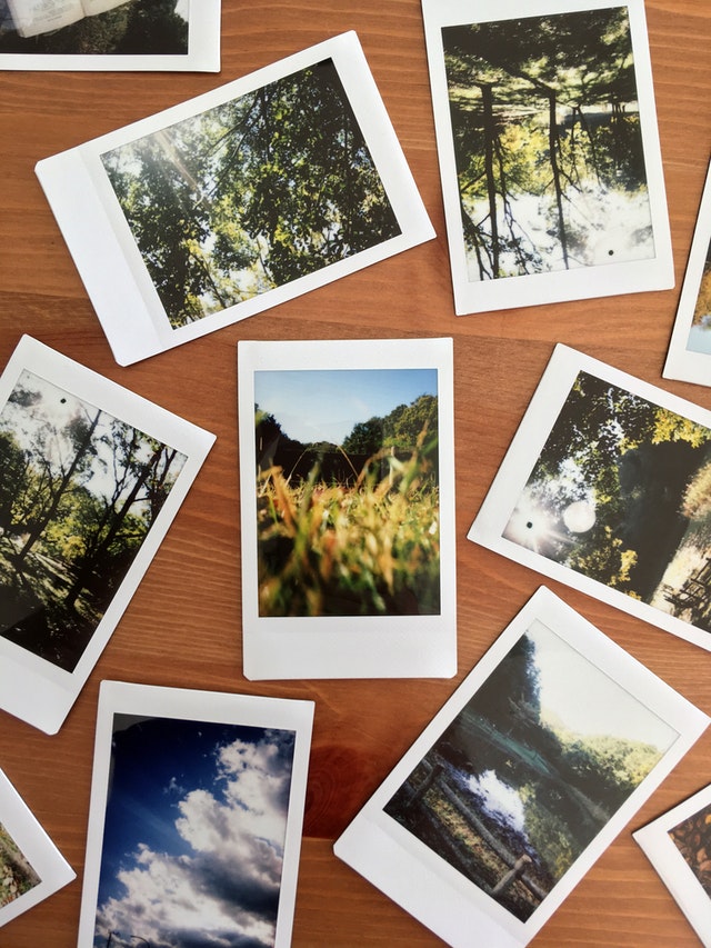Tips For Organising Your Photos