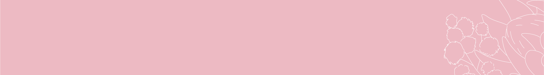 SCRAPBOOKING CARDSTOCK