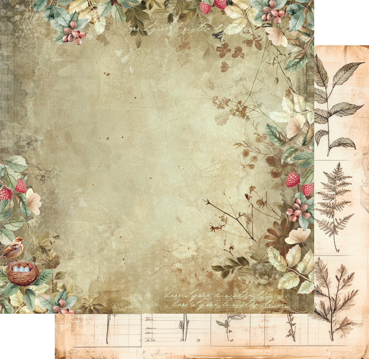 Beautiful Botany Paper