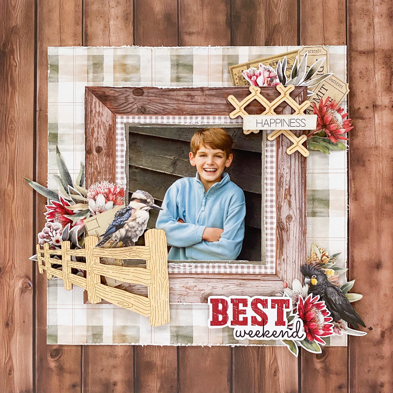 Shearer's Shack Paper