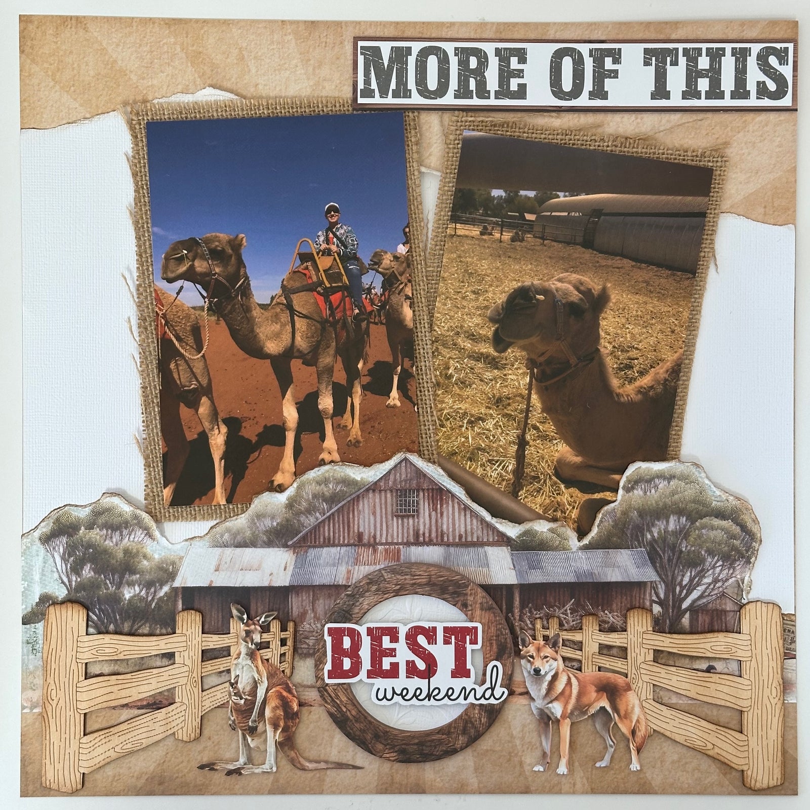 Shearer's Shack Paper