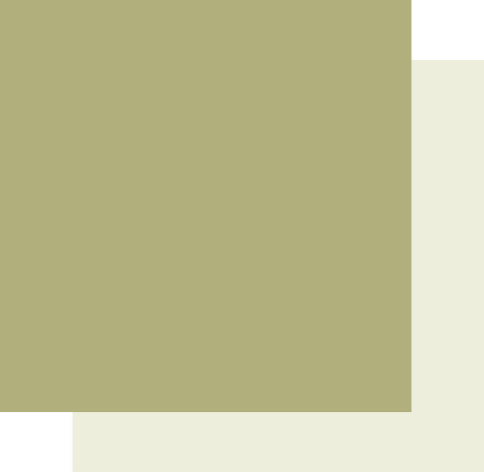 12 x 12 Sage Cardstock