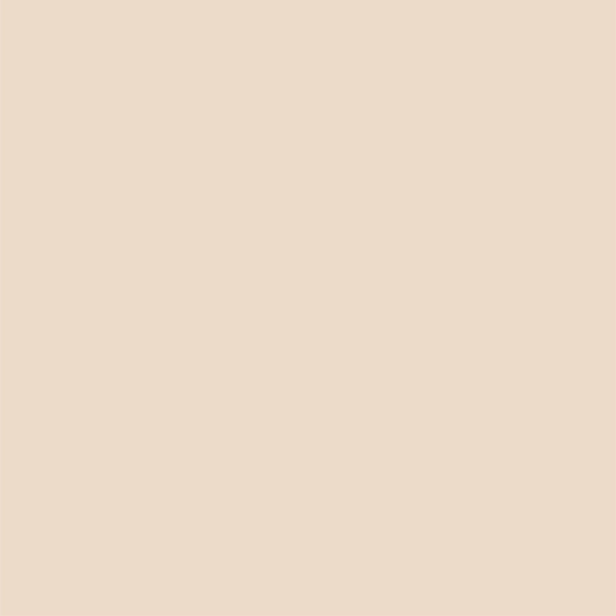 12 x 12 Beige Cardstock