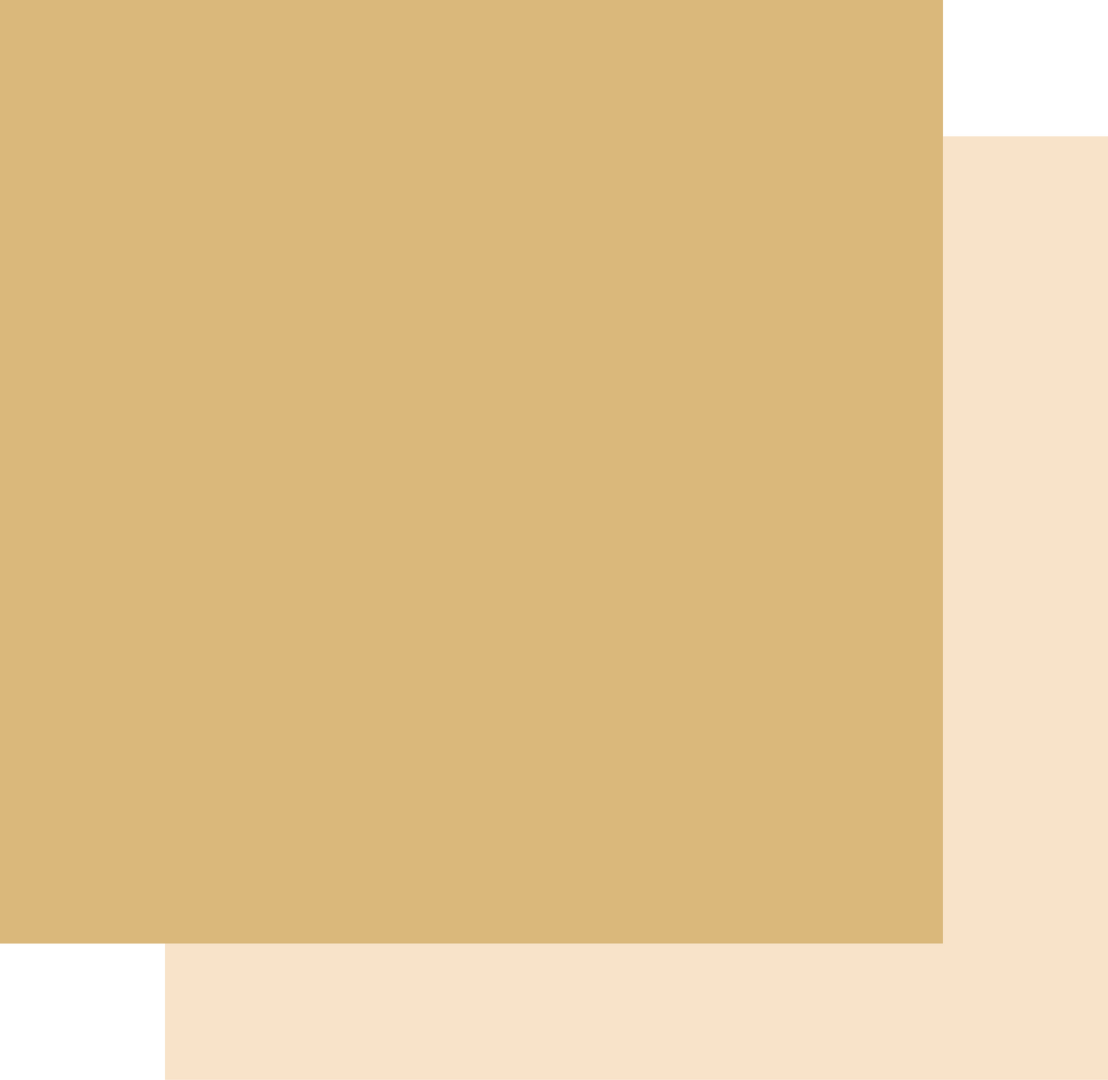 12 x 12 Champagne Cardstock