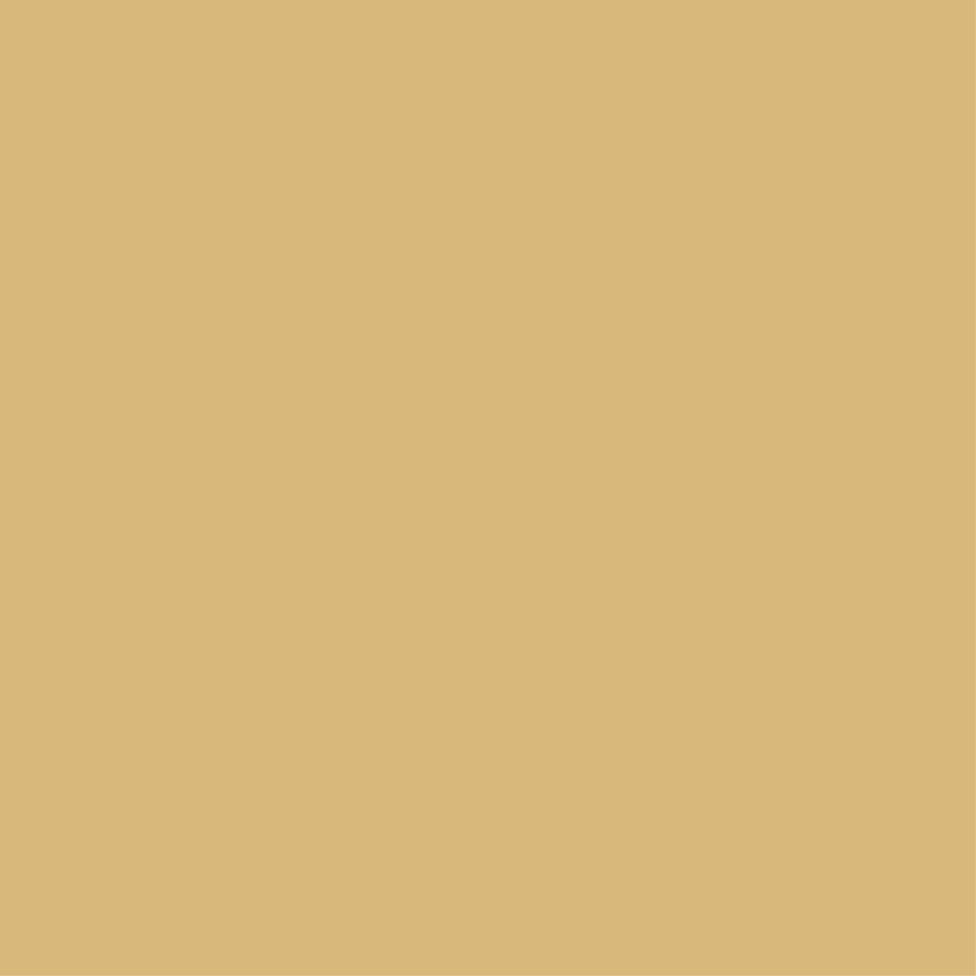 12 x 12 Champagne Cardstock