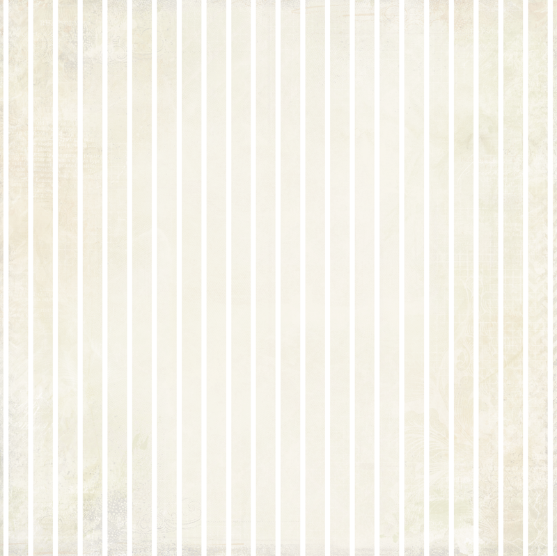 The Story - Folio Bits Paper