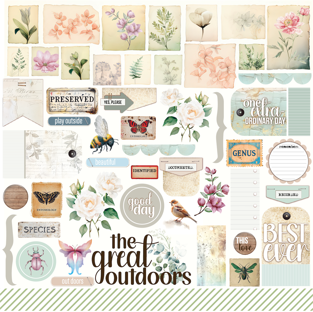 Documented Flora Paper