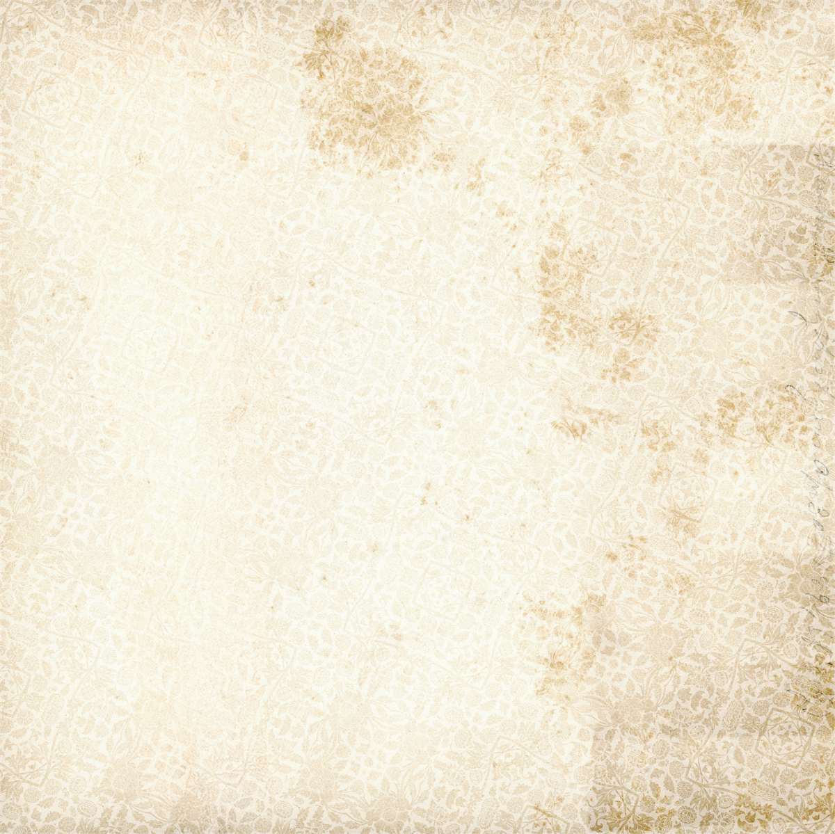 Documented Flora Paper