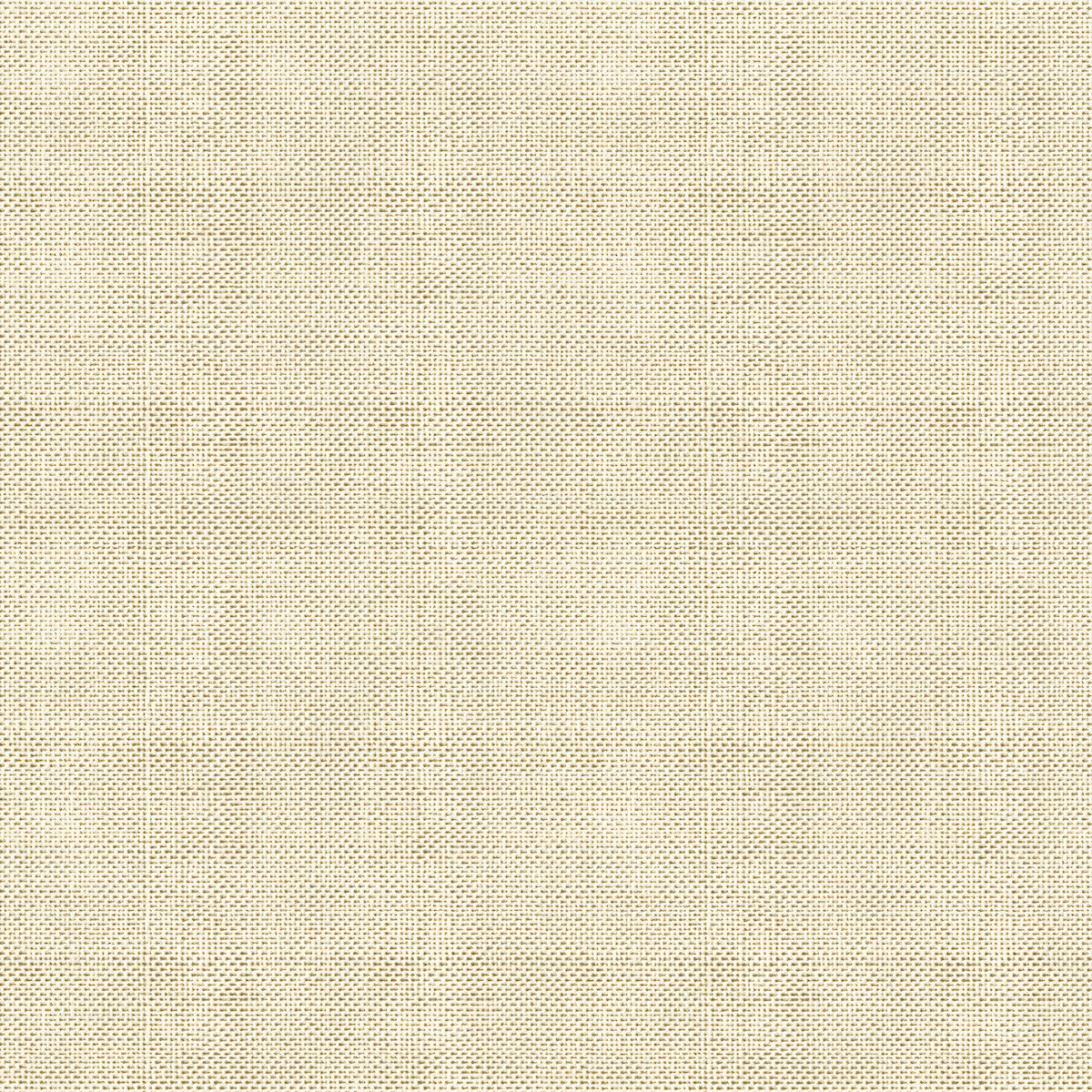 Soak up the Sun Paper