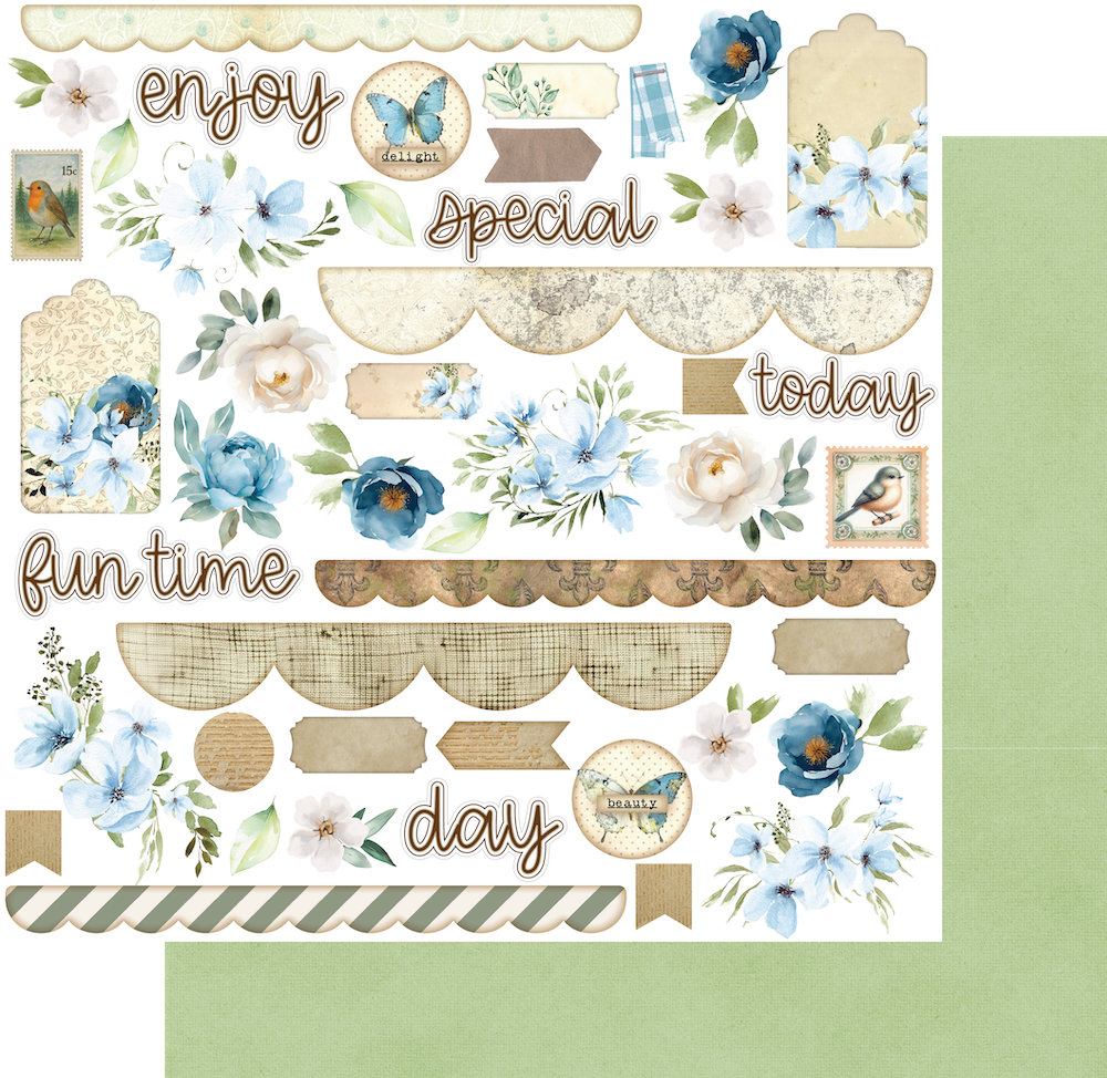 Curiosity Cabinet Paper