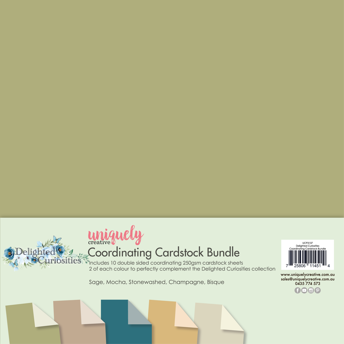 Delighted Curiosities Coordinating Cardstock Bundle