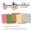 12 x 12 Steampunk Boutique Cardstock Bundle