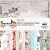 Steampunk Boutique Collection Pack 12 x 12